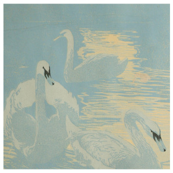 CUSTOM FIELD_Neumann.jpg